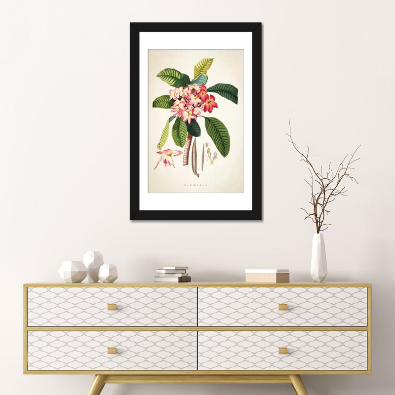 «Plumeria Botanical Print», impression sur toile, H 24 po x l 16 po x P 1 po, Papier beaux-arts encadré noir, Blanc