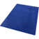 Fancy Tufted Blue Rug