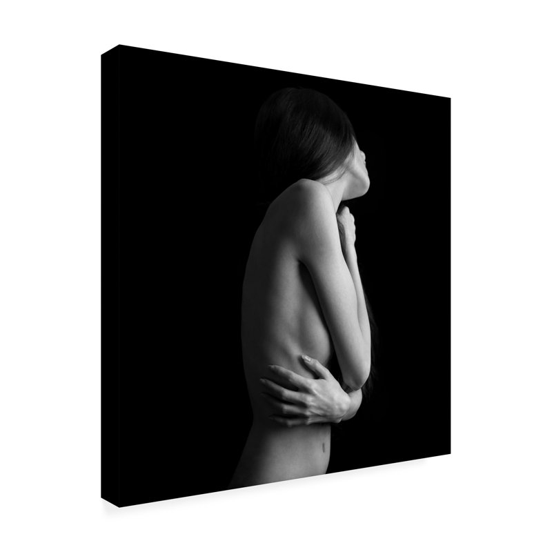 «Feathers II» par Bobby Kostadinov, impression sur toile non encadrée, L 35 po x H 35 po