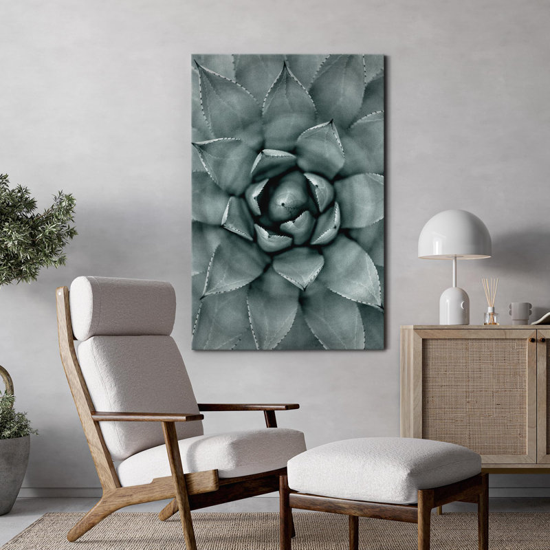 Plante grasse pour chambre à coucher, H 24 po x l 16 po