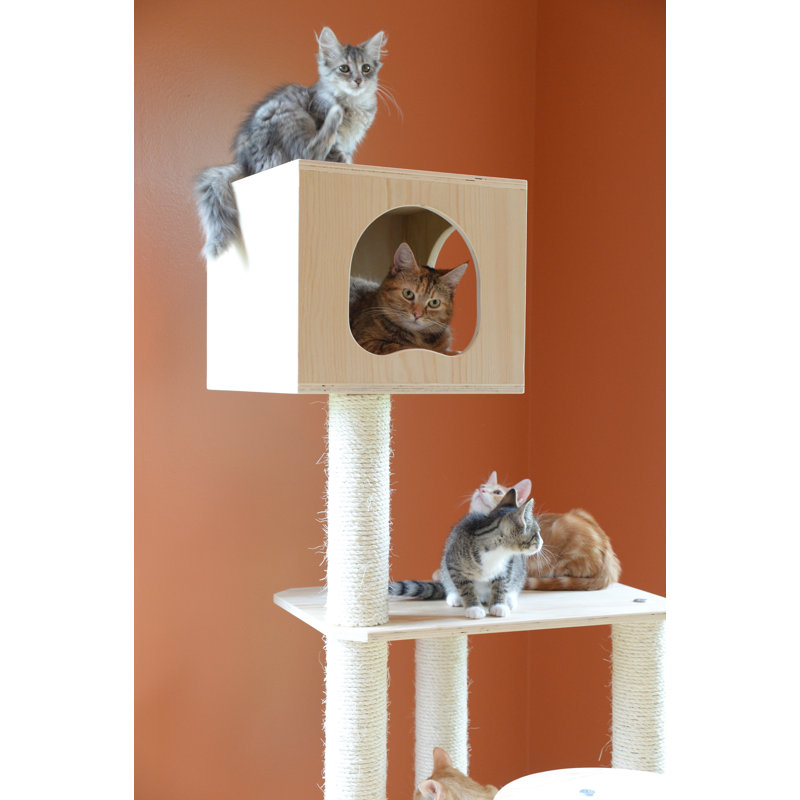 69'' Beige Scots Pine Cat Tree with Sisal Scratching Posts