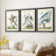Pastel Birds IV - impression encadrée de qualité supérieure sur mesure mat - 3 pièces-1195610776-1195610759