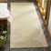 Joliet Performance Ikat Rug