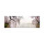 Cherry Blossoms At The Lakeside Washington Dc, Usa - Wrapped Canvas Panoramic Print-1198623313
