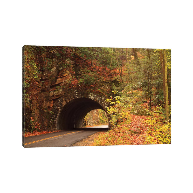 USA, Tennesse. Tunnel Along The Road To Cades Cove In The Fall. by Joanne Wells - Wrapped Canvas Print