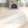 Oriental Indoor Rug