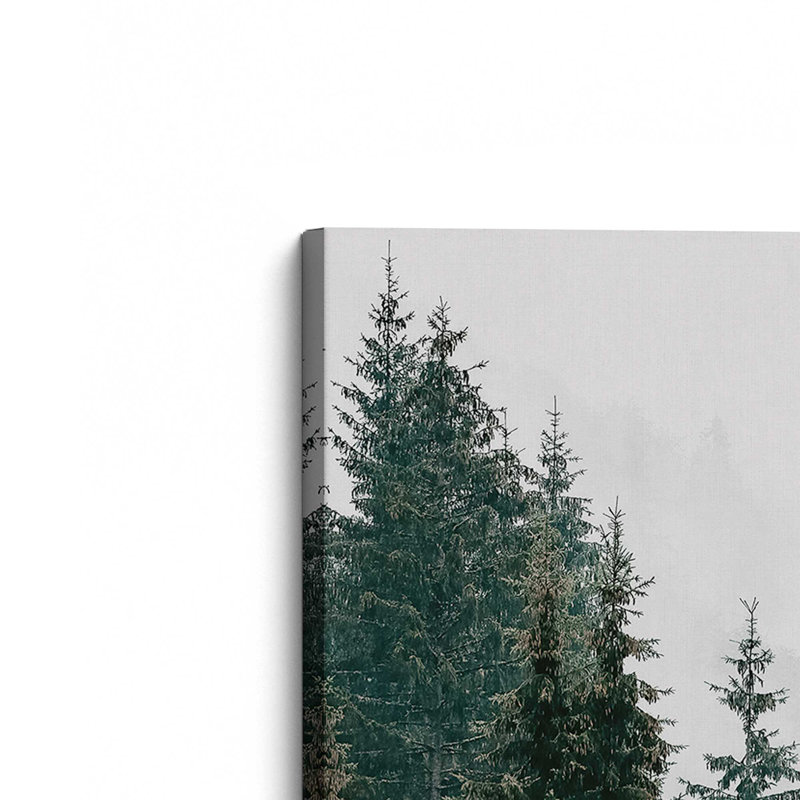 Whispering Mist, Large Canvas Print, 36" H x 54" W