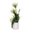 Agapanthus Flower Arrangement in White Cyclinder Planter