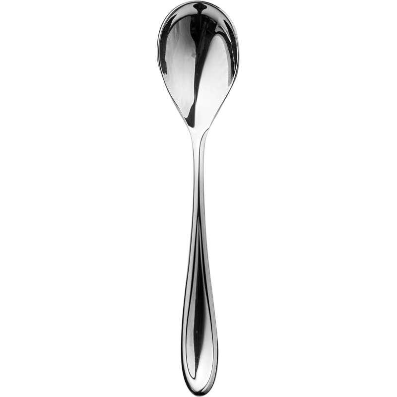 Forma Stainless Steel Dessert Spoon