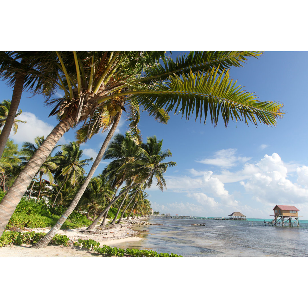 San Pedro Belize von Arturo PeÃ±a Romano Medina - Druck