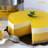 CHEFMADE 8 inch Mousse Baking Mold