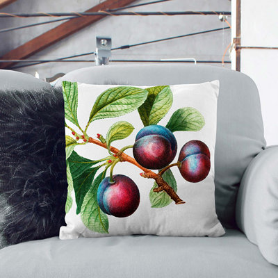 Square Cushion