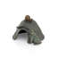 Toad House with Snail