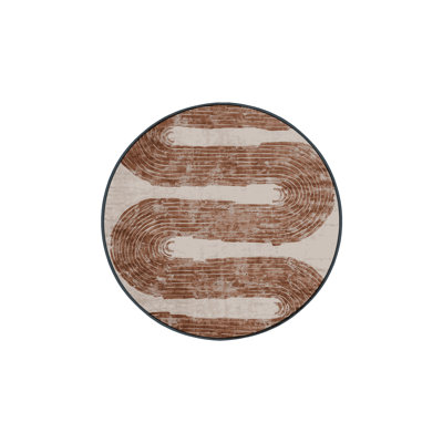 Silky Soft Plush Brown Area Rug