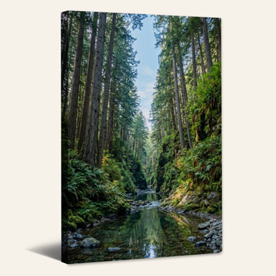 «Tall Trees Reflecting in Forest Stream», art mural