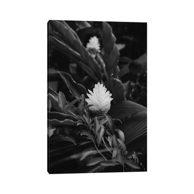 Monochrome Tropical Hawaii by Bethany Young - Print on Canvas