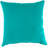 Sunbrella Outdoor Throw Pillow-588181307-588181290