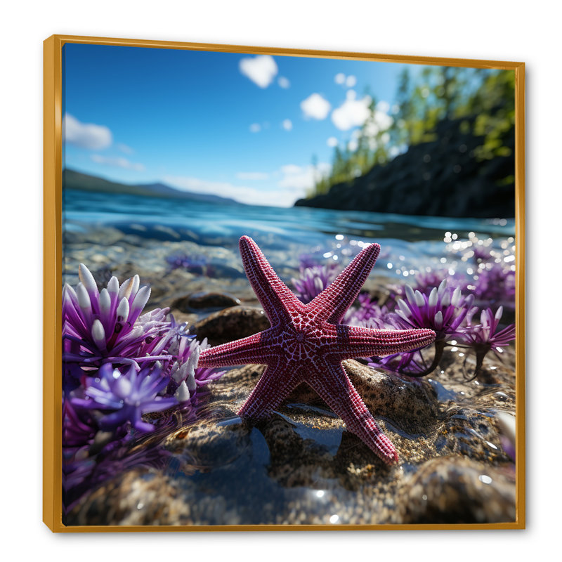 Étoile de mer corail sur la plage, photo 1 - plage, art mural, Cadre flottant noir, 36" H x 36" W