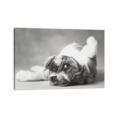 Brit II 1 Piece Wall Art on Canvas