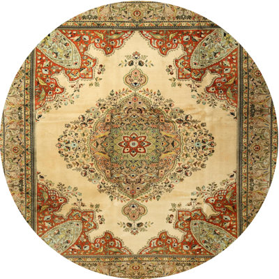 Oriental Indoor Rug