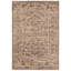 Kenya Brown / Beige Oriental Rug-1165911254