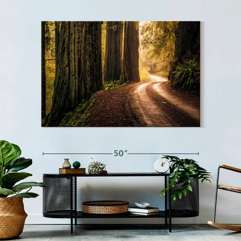 Howland Hill Road Redwoods, 34" H x 51" W