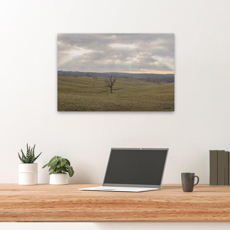 «Rays Shining Down» - art contemporain ciel couvert de Rolling Hills Lone Tree, H 16 po x l 24 po