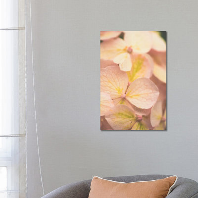 Lauds - Morning Prayer II 1 Piece Wrapped Canvas Wall Art