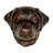 Labrador Retriever Door Knocker
