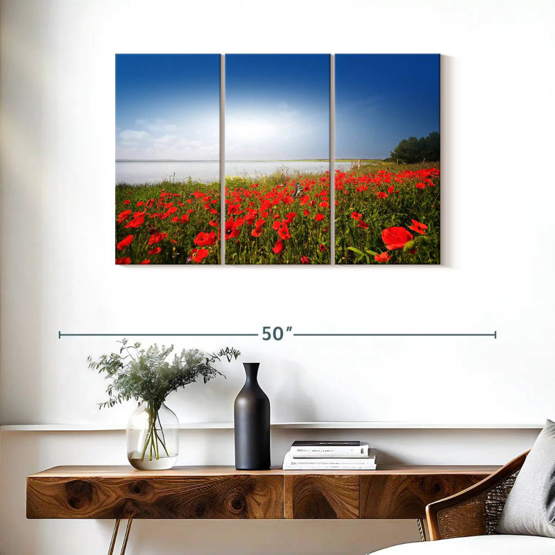Alvord Lakeside Poppy Field, H 24 po x l 38 po