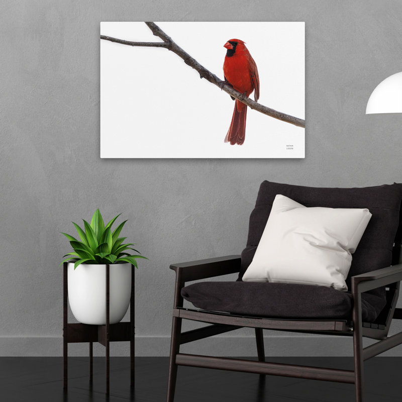 Cardinal contemporain sur le Mississippi, H 24 po x l 16 po