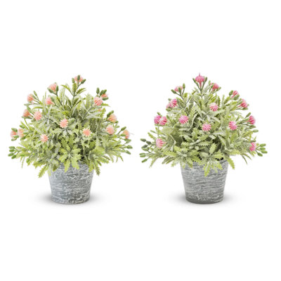 Delicate Fruit In Pot (red And Pink)