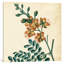« iii », reproduction d’art sur toile tendue Garden Bounty-20830802-73087154-73087155