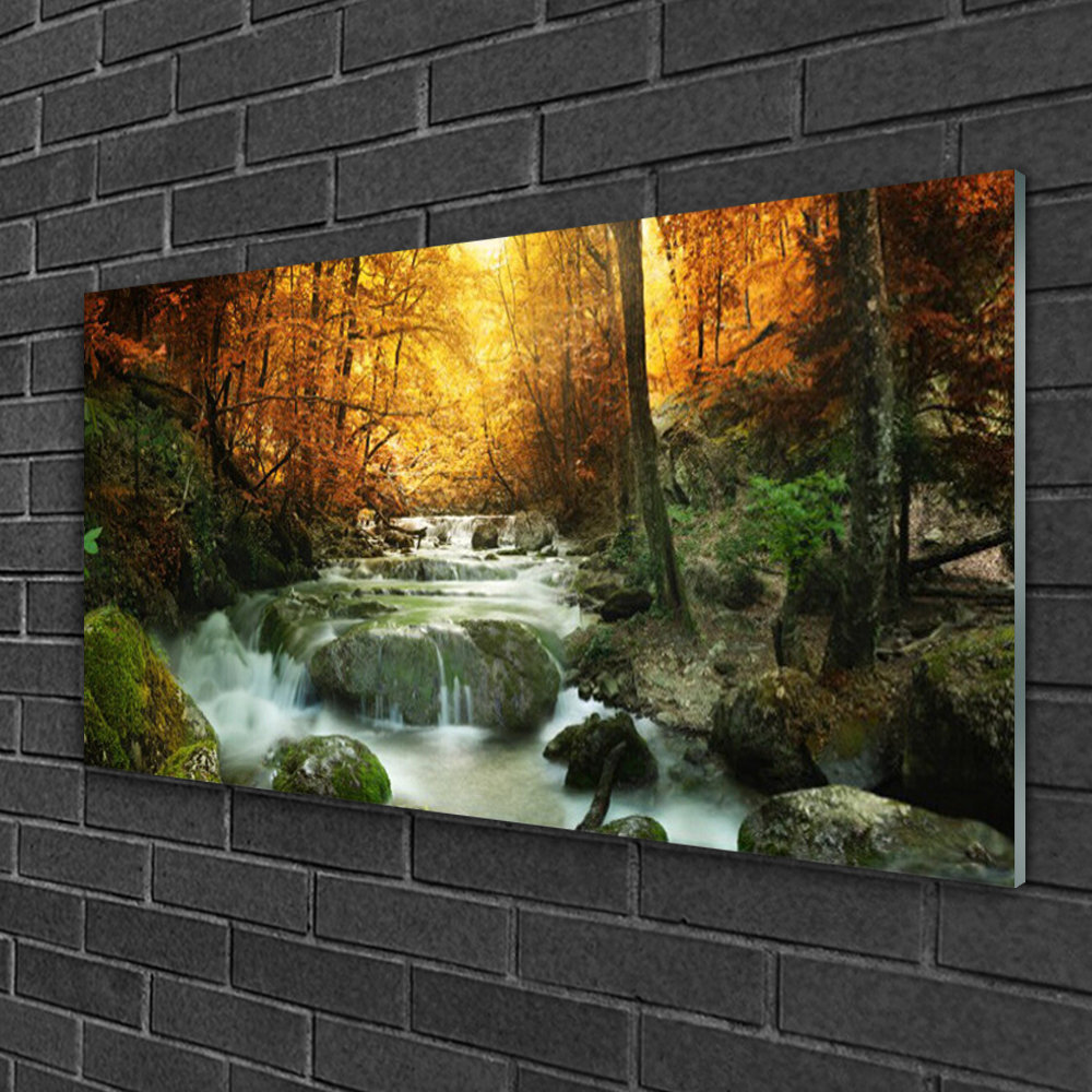 Glasbild Waterfall Forest Stones Nature