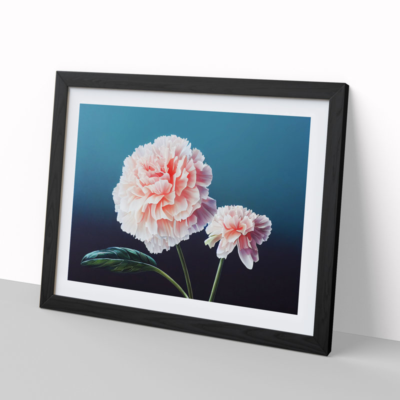 Wild Carnation Flowers - Framed Print, 34cm H x 46cm W x 2cm D, Black Framed
