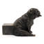 Susanna Weather Resistant Planter Feet