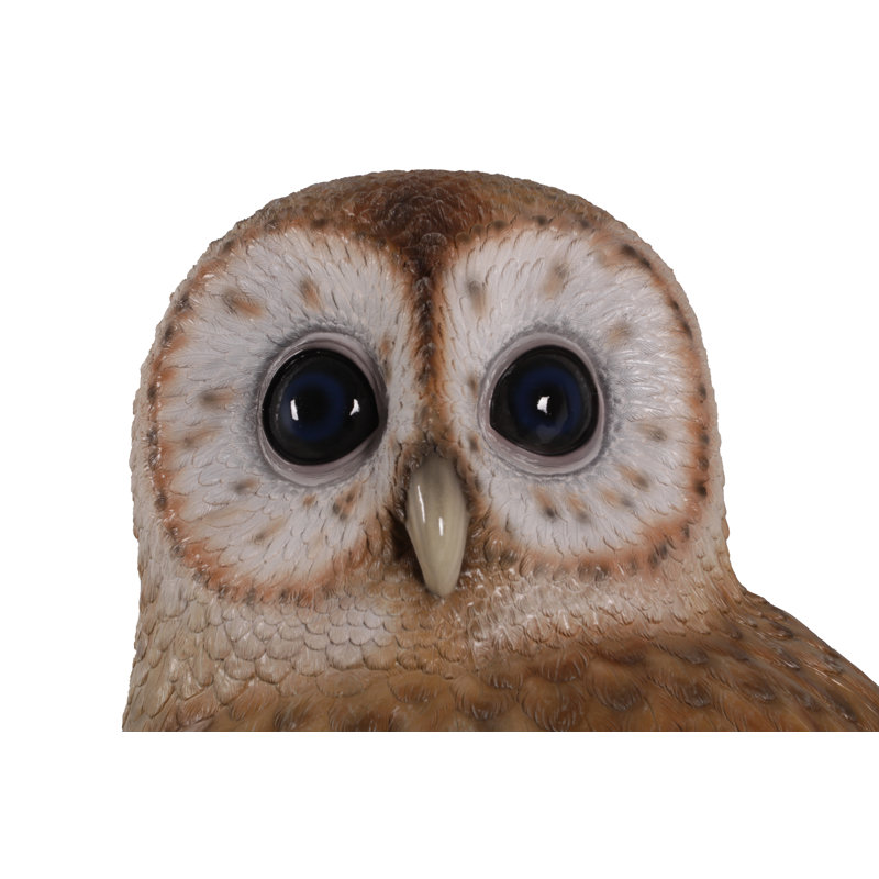 Hibou fauve Graig