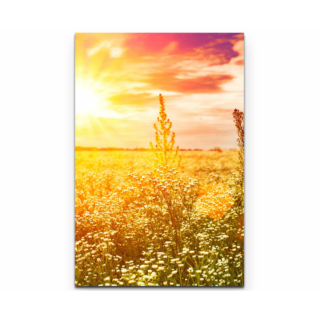 Leinwandbild Wildblumenwiese im Sonnenuntergang