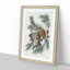 Little Screech Owls by John Audubon - Picture Frame Painting Print-55580713-55580714