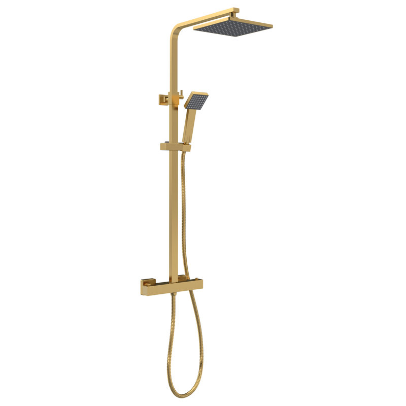 Mixer Shower with Dual Shower Head