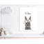 Le lapin est courage-48187579-48187572
