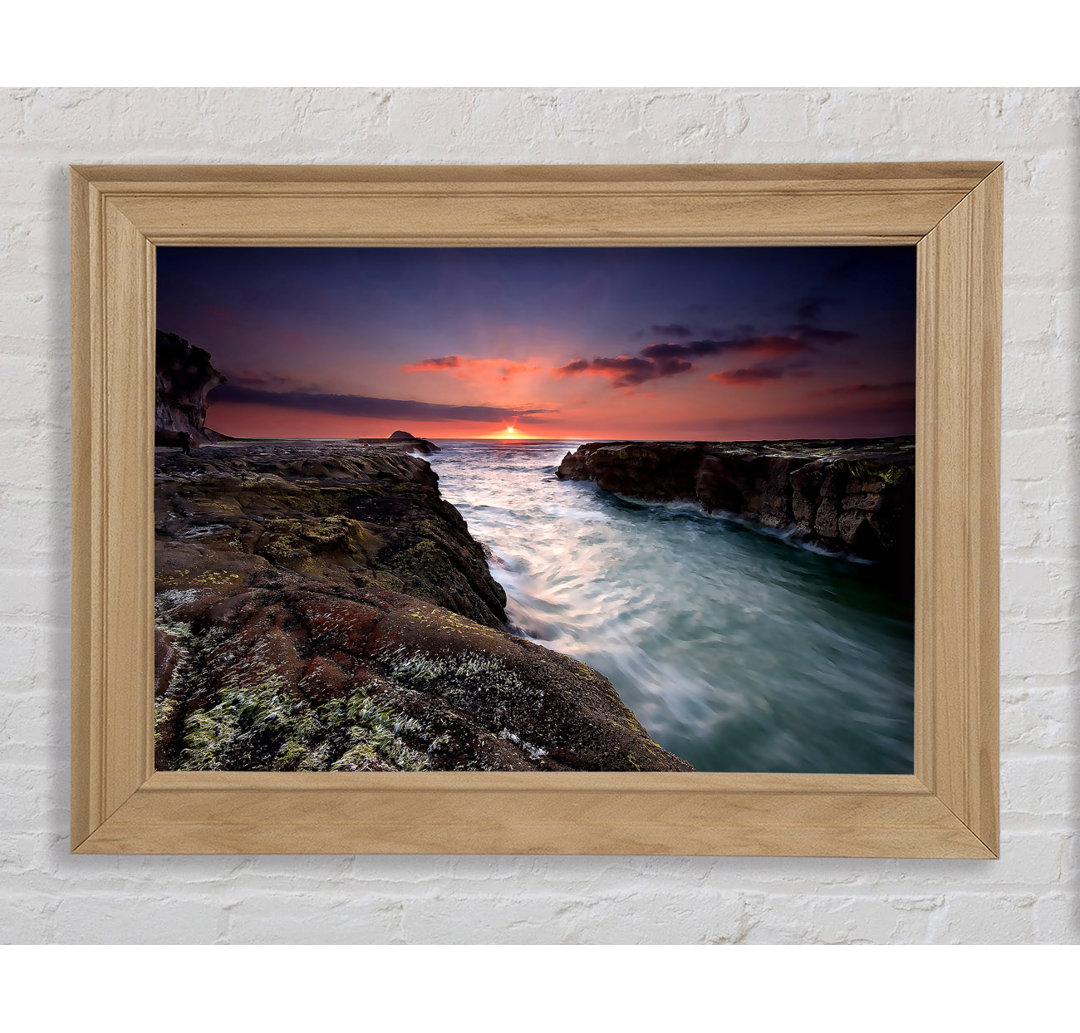 Sonnenuntergang am Muriwai Strand - Einzelne Bilderrahmen Kunstdrucke