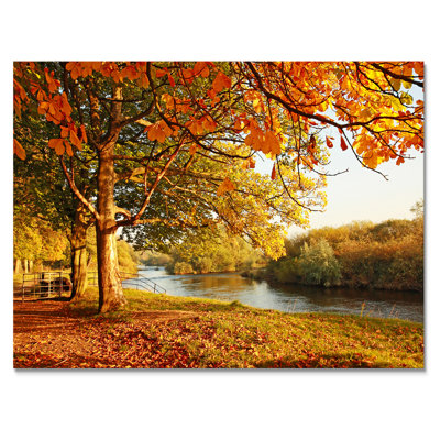 «Yellow Autumn Artistic Forest By The Lake II», reproduction sur toile
