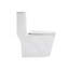 Toilette une pièce en céramique pour salle de bain, 12 po, 1,24 / 1,6 GPF, double chasse avec siège à fermeture douce, puissant double chasse CARTE 800 g