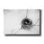 «Nest and Branch IV» par Debra Van Swearingen, art mural sur toile-1540687290