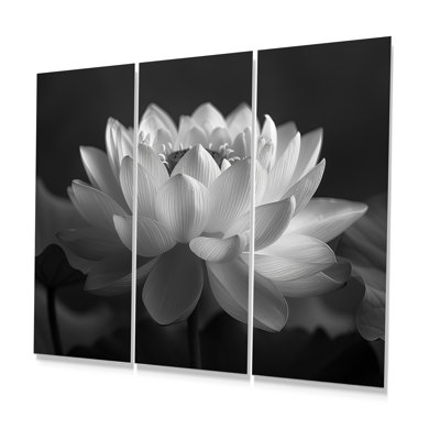 Gassaway - Lotus Wall Art Print Set