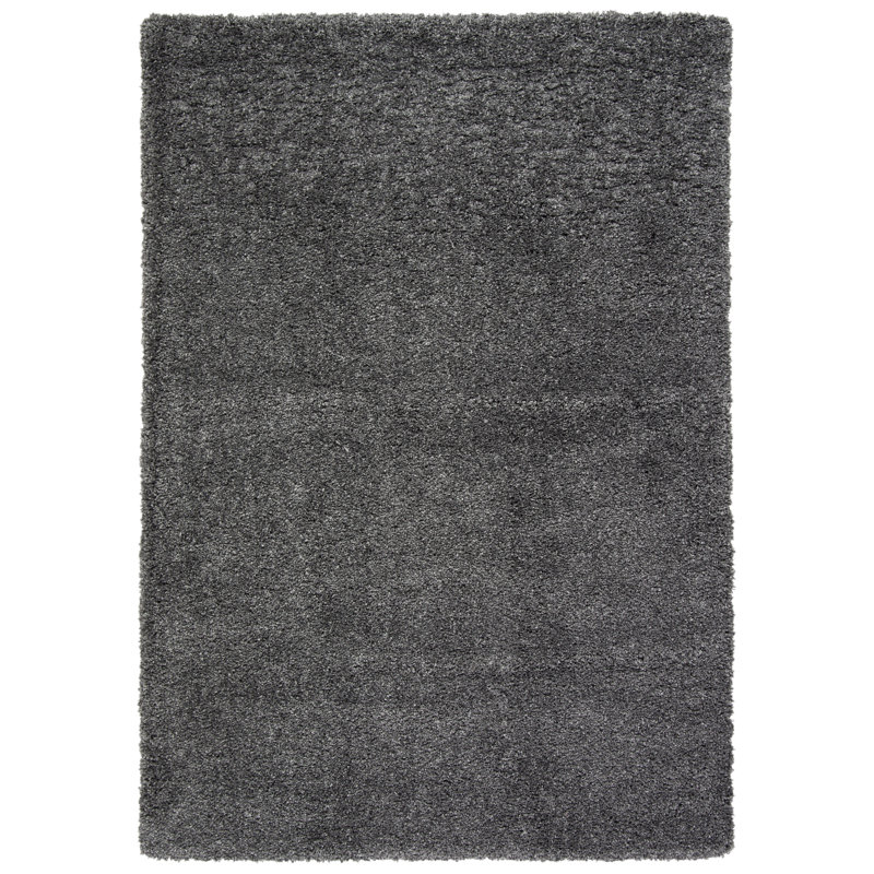 Delane Dark Gray Area Rug, Rectangle 3' x 5'