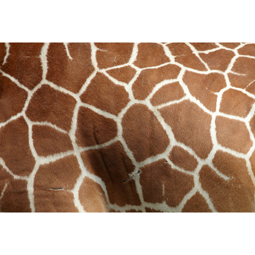 Giraffe Pattern von Bikec - Kunstdrucke auf Leinwand