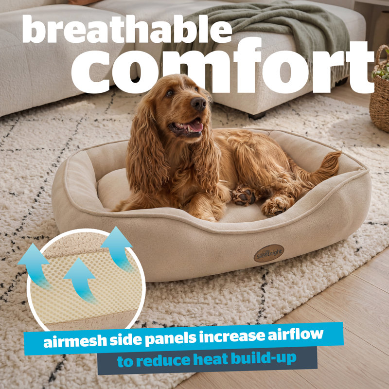 Silentnight Airmax Breathable Pet Bed with reversible cushion, Beige, Small (18cm H x 61cm W x 48cm D )