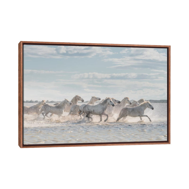 White Angels Of Camargue XXVI by Daniel Kordan - Print on Canvas, 101.6 cm H x 66.04 cm W, Classic Brown Wood Framed